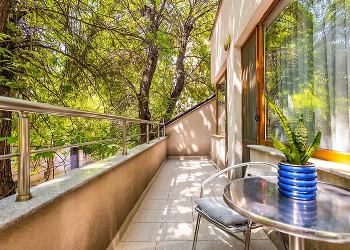 公寓 Super Center Flat Parchevich